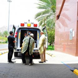 #عاجل ..  #الصحة: تسجيل 1055 حالة إصابة جديدة بكورونا، 12 وفاة ، و 1143 تعافي.
