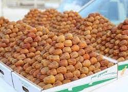 حالة الطقس المتوقعة اليوم الثلاثاء