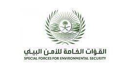 جامعة الحدود الشمالية تقدم 323 جلسة افتراضية للفصل الصيفي خلال أسبوعين