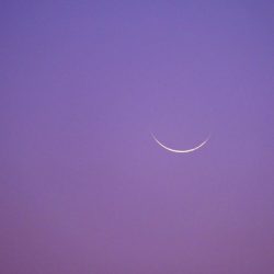 #وزارة_الرياضة تعلن رفع نسبة الحضور الجماهيري في الموسم الجديد إلى 60% بدلاً من 40%