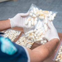 نادي الصقور السعودي يدعو للمشاركة في معرض الصقور والصيد السعودي الدولي مطلع أكتوبر القادم