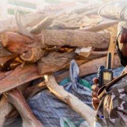 توزيع 4 آلاف مظلة على قاصدي المسجد الحرام