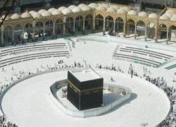 منافسة قوية في المزاد الدولي لمزارع إنتاج الصقور للظفر بصقر الـ 64 ألف ريال