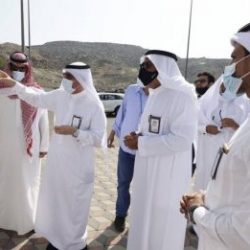 العدل : 260 ألف جلسة مصالحة عن بُعد