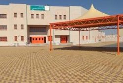 «الاستشاري الزائر» يعالج 500 مريض بالباحة