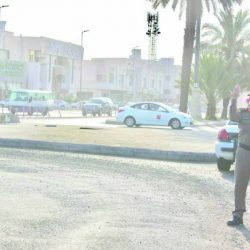 ميناء جدة الإسلامي يقفز للمرتبة 37 عالمياً ضمن أكبر 100 ميناء بالعالم