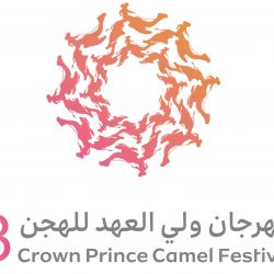 وكيل إمارة جازان يرأس ورشة عمل “النضج المؤسسي ” لمحافظي المحافظات عبر الاتصال المرئي ..