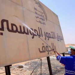 الأمن البيئي يضبط مخالفين باعوا حطبا محليا لأغراض تجارية