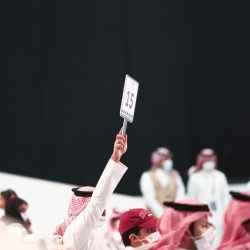 الرياض.. القبض على 4 مقيمين يروّجون لمنح قروض تمويلية للمتعثرين وتحديث الحالة الصحية.