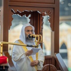 ” الموارد البشرية” بحائل تنفذ جولات رقابية للتأكد من تطبيق قرارات التوطين