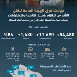 طارق حامدي يحصد فضية الكاراتيه للسعودية.. ويدخل التاريخ