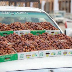 ديوان المظالم يختتم البرامج التدريبية لقضاة الديوان
