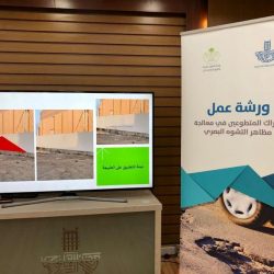 سمو أمير منطقة جازان وسمو نائبه يعزيان محافظ صبيا في وفاة شقيقه