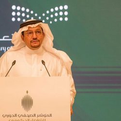 ” وزير الإعلام ” قطعنا أشواطا كبيرة في مواجهة كورونا.. والالتزام بالإجراءات مهم مع عودة المعتمرين والسياح