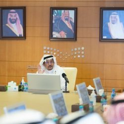 جزيرة النورس.. وجهة هواة الاستجمام على شواطئ ينبع