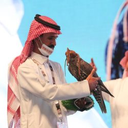 هيئة التراث تكشف عن تسجيل 14 موقعاً أثرياً جديداً في الربع الثاني من العام الحالي