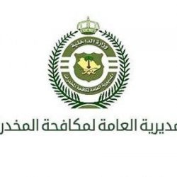 الأطفال يعيشون تراث الأجداد في المزاد الدولي لمزارع إنتاج الصقور