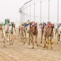 أرملة المرحوم الحاج علي الزويد بوسعيد في ذمة الله تعالى بالاحساء