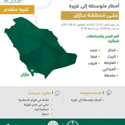 “وثيقة مفبركة”..نزاهة تنفي ضبط شبكة لتهريب الآثار اليمنية إلى لندن