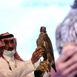 “الغذاء والدواء” تفرض غرامات مالية بمليون و 250 ألف ريال لمخالفة نظام التتبع الدوائي “رصد”