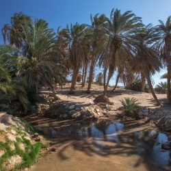 سمو أمير الجوف يدشن النظام الإلكتروني للحضور والانصراف لمنسوبي الإمارة