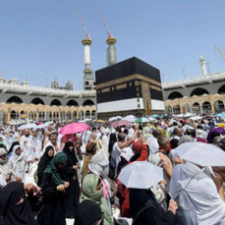 ضيوف الرحمن في المدينة المنورة… رحلة الحج أصبحت بفضل حكومة المملكة رحلة ميسرة بعيدة عن المشقة والتعب