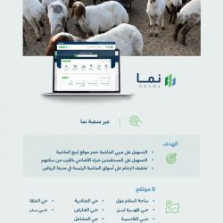 خمسُ مساراتٍ لكشافة وزارة التعليم لخدمة ضيوف الرحمن