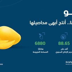 جامعة الملك خالد تتيح 120 برنامج دراسات عليا للتسجيل 