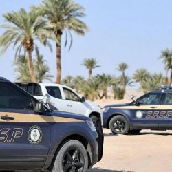 ري بيت.. مشروع لإعلام القاهرة يرفع الوعي بأهمية التدوير المنزلي 