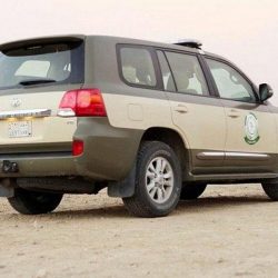 ( *تلعثُم الكلماتِ* )