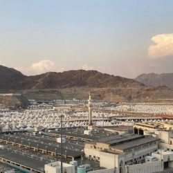 الصحة السعودية: 217 سريراً للتعامل مع ضربات الشمس خلال الحج