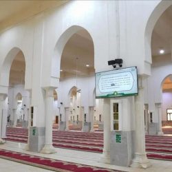 “البيئة” تُعلن فسح أكثر من مليوني رأس من الماشية وجاهزية مسالخ العاصمة المقدسة لاستقبال الأضاحي