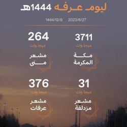 حركة البيانات في يوم عرفة تشهد ارتفاعاً قياسياً عبر شبكة stc بنسبة 80%