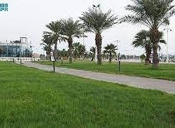 مسجد نمرة بعرفات.. ثاني أكبر مسجد مساحةً بمنطقة مكة المكرمة بعد المسجد الحرام