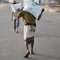 مركز الملك سلمان للإغاثة يوزع 2.666 كيسًا من الأرز في محافظة عدن