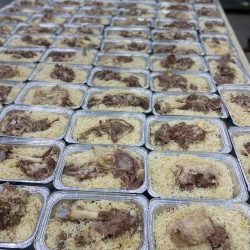 بيئة عسير تنفذ دورة المباديء الاساسية لإدارة الآفات الزراعية 