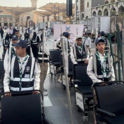 جدة تحتضن الموسم الثاني من دوري المقاتلين المحترفين يوم 9 مايو القادم     شراكة بين PFL MENA و”موسم جدة” لنشر وتطوير الفنون القتالية المختلطة في المنطقة 