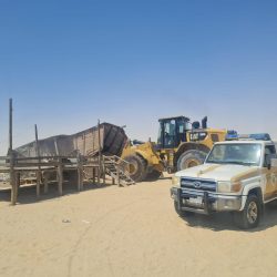 “أضواء على السينما اليابانية” في مهرجان أفلام السعودية…  تجارب تتقاطع مع تحولات معاصرة