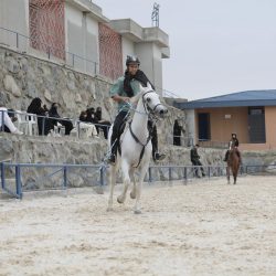 برعاية سمو أمير منطقة الباحة.. تدشين مهرجان الأطاولة التراثي الثامن ومشروع تأهيل القرية التراثية .