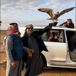 جامعة الإمام عبد الرحمن بن فيصل تشارك في الملتقى السنوي الخامس للتجارب والمبادرات التنموية لإمارات المناطق بالمملكة