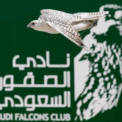 ارتفاع الصادرات غير البترولية 21.7% في سبتمبر 2025