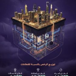 308 صقور تتنافس بأشواط الملاك في ثالث أيام كأس نادي الصقور السعودي 2025