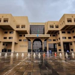 جمعية صناعة الفعاليات الاحترافية تختتم ورشة ” أساسيات التجهيزات التقنيه للفعاليات “