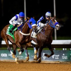 ندوة عن “جدران التاريخ” في معرض جدة للكتاب .
