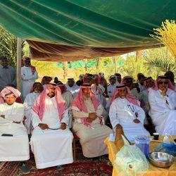 دورة التطوع فى المجال الوظيفى ودورة فى تطوير المهارات 