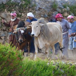 تنمية “نعجان” تُطلق حملة “قطرة نجاة” للتبرع بالدم بالتعاون مع مستشفى الملك خالد بالخرج