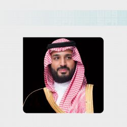 سلسلة حياتك السعيدة  المقال (40): مرافئ اليقين.. كيف ترسو بقلبك في طمأنينة القدر؟