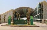 “البيئة” تكثيف أعمال مكافحة “نواقل الأمراض” خلال موسم الحج