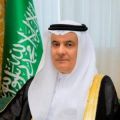 الفضلي: حماية حقوق الإنسان من أولويات نظام الحكم في المملكة