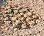 مشروع “مسام” ينتزع 2.231 لغمًا في اليمن خلال أسبوع